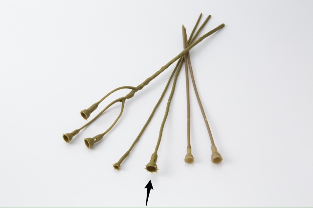 デザインステム・スペシャル・L　ライトグリーン　１．２cm×３２．５ｃｍ　　65773-710