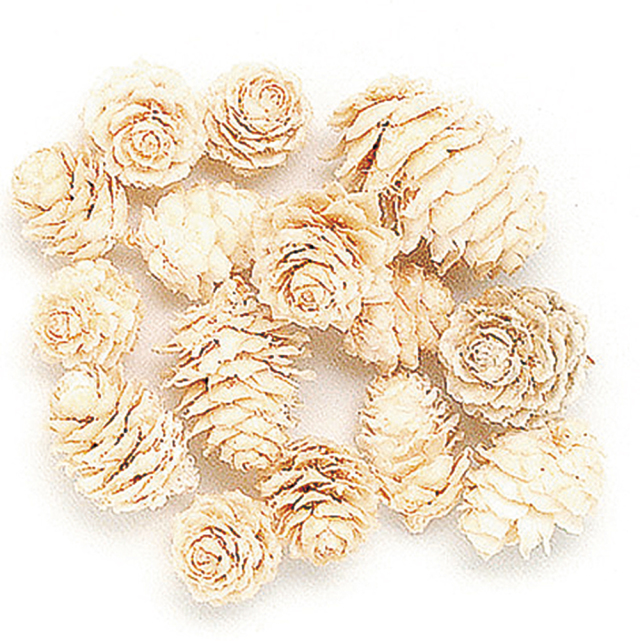 カラマツ　サラシ　※品番変更　66236