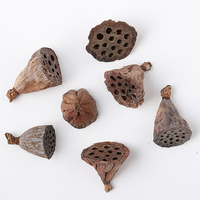 ミニハスヘッド　N