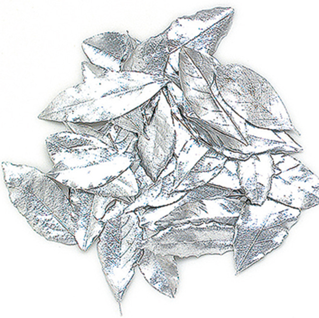 カラーリーフ　シルバー