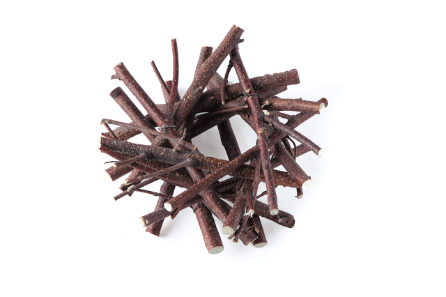 小枝ブランチベース　N