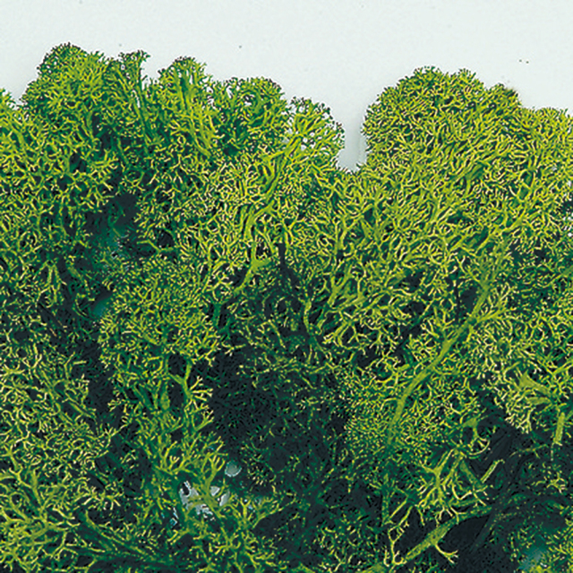 フィンランドモス　グリーン　71103　※ご注文後の取り寄せ商品