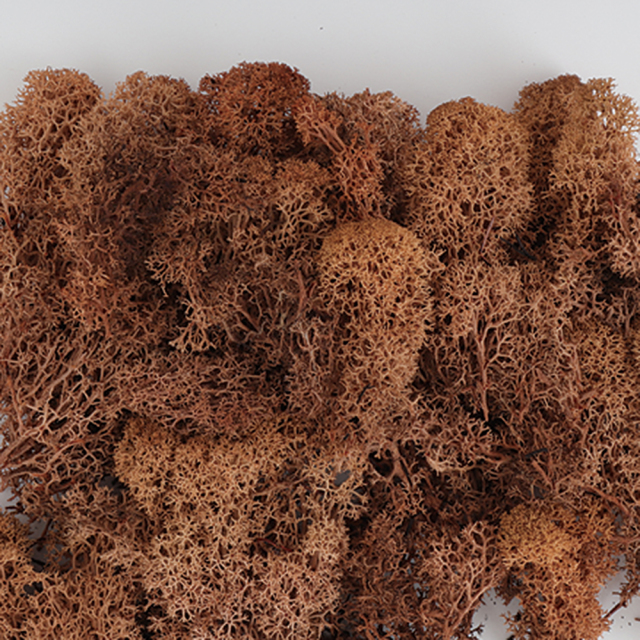 フィンランドモス　ブラウン　71117　※ご注文後の取り寄せ商品