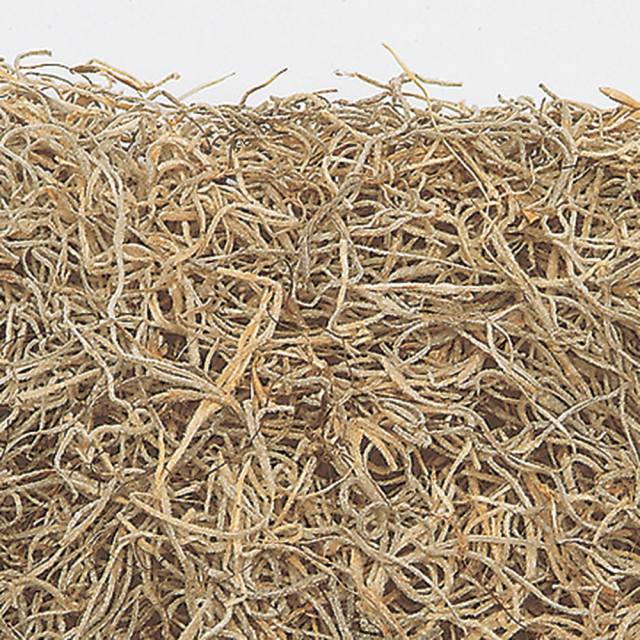 スパニッシュモス　Ｎ