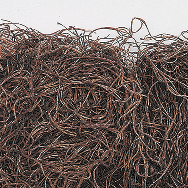 スパニッシュモス　ブラウン