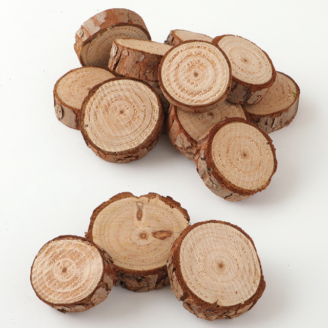 木株スライス　ナチュラル