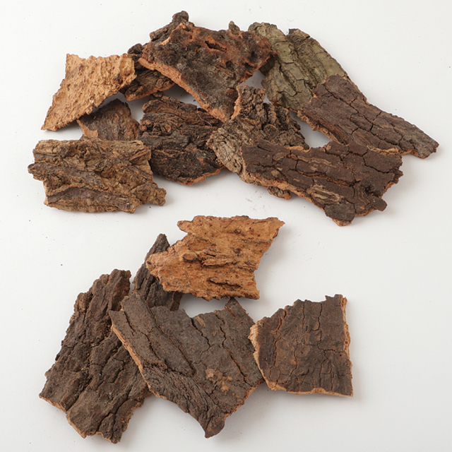 木の皮　小　ナチュラル