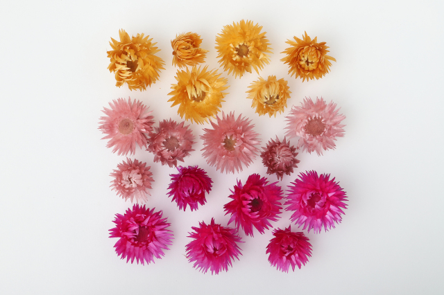 シルバーデージーヘッド　大・小アソート　パープルミックス　73134