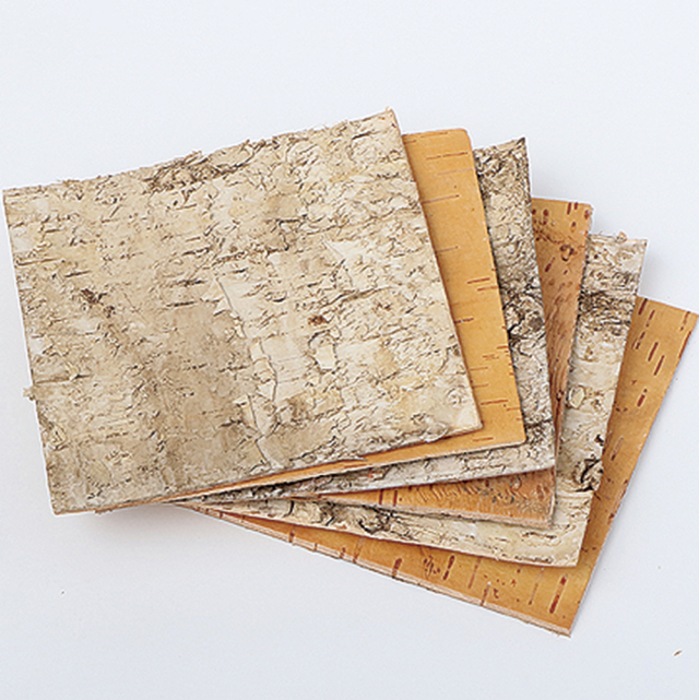 白樺皮　正方形　Ｍ