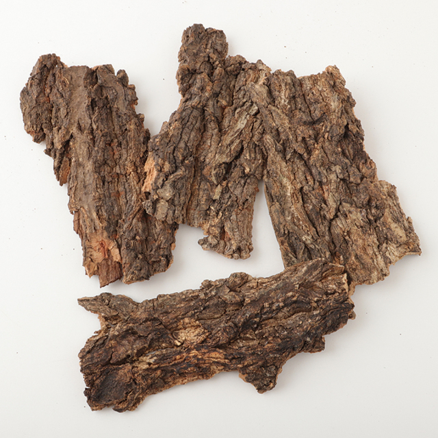 木の皮　大　ナチュラル