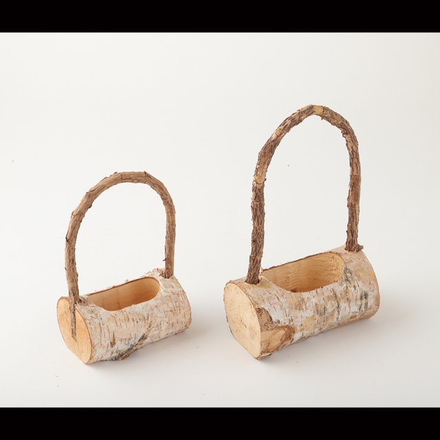 白樺掘り　手つき中　　Ｎ