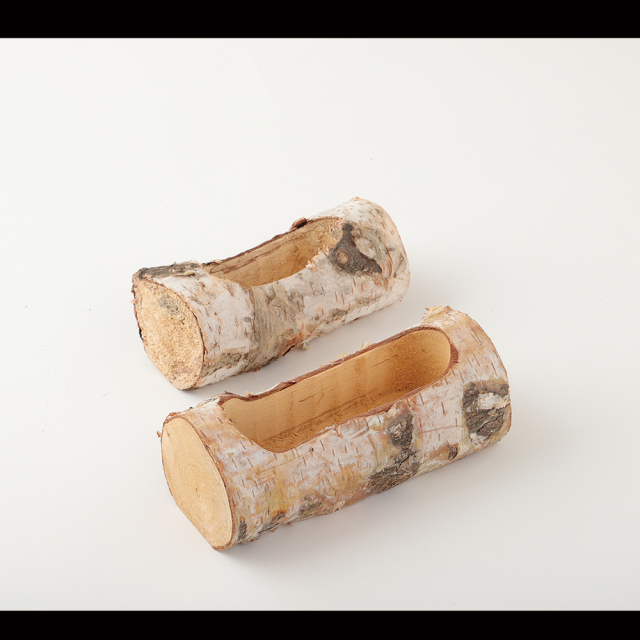 白樺掘り　小　Ｎ