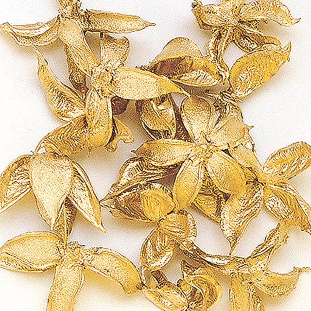 ワタカラ　ゴールド