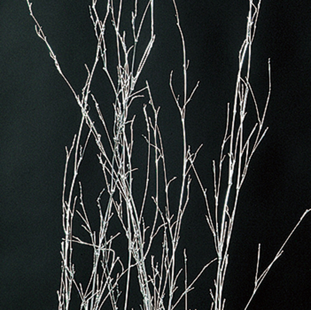 竹枝　シルバー