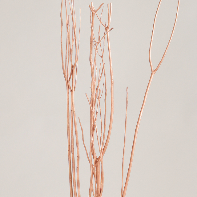 ミツマタ　ローズゴールド