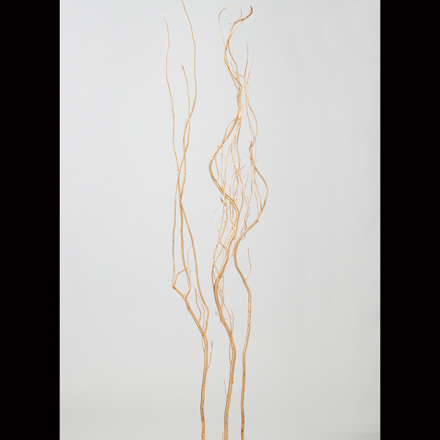 うんりゅう柳　ゴールド　74428