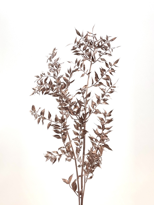 ソフトラスカス　プラチナピンク　74453