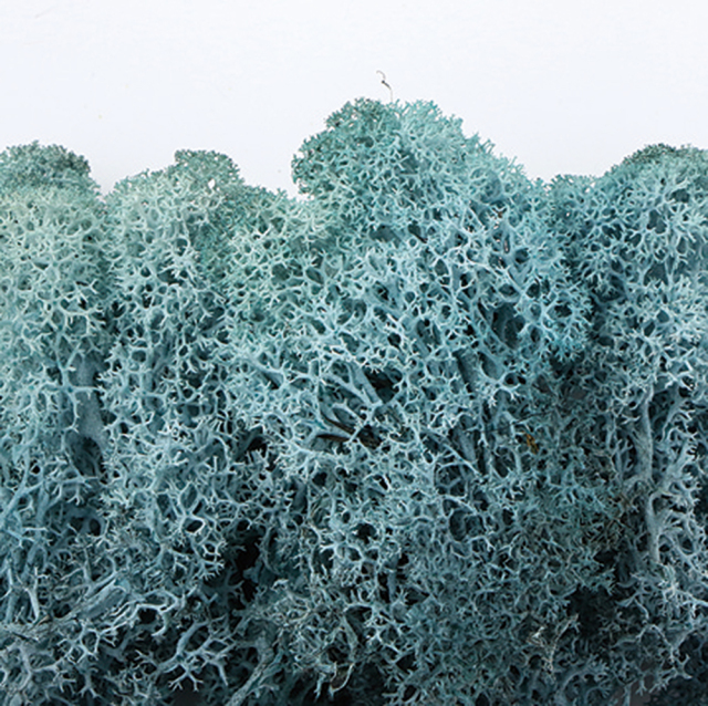 フィンランドモス　ブルーグレー　75615　※ご注文後の取り寄せ商品