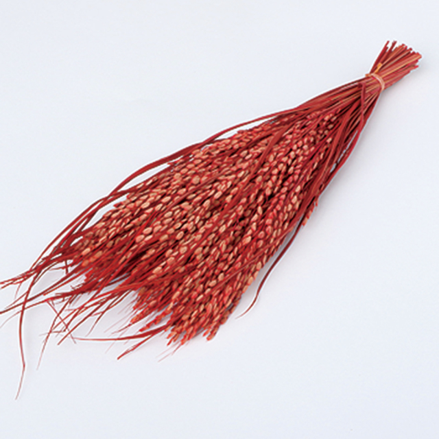 稲穂ピック　レッド