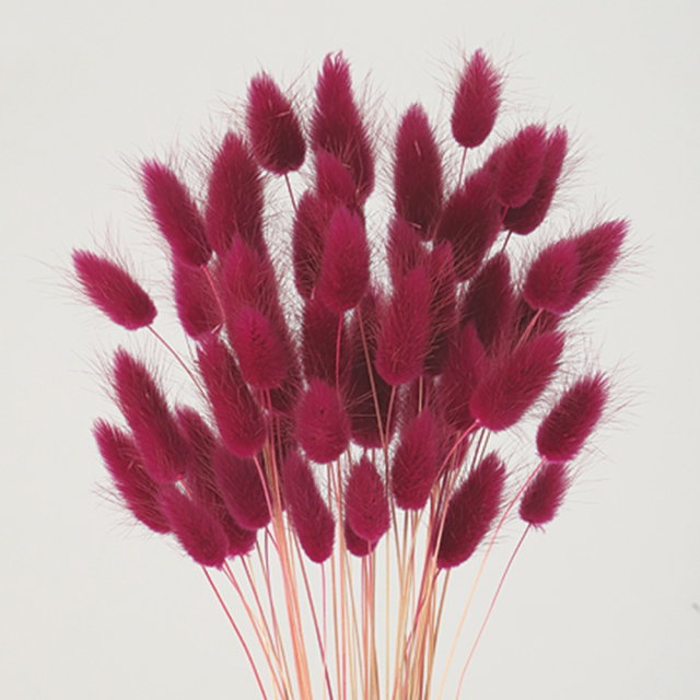 ラグラス　ボルドー　75704