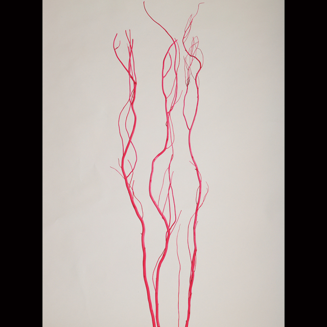 うんりゅう柳　レッド　75718　廃番セール70％OFF