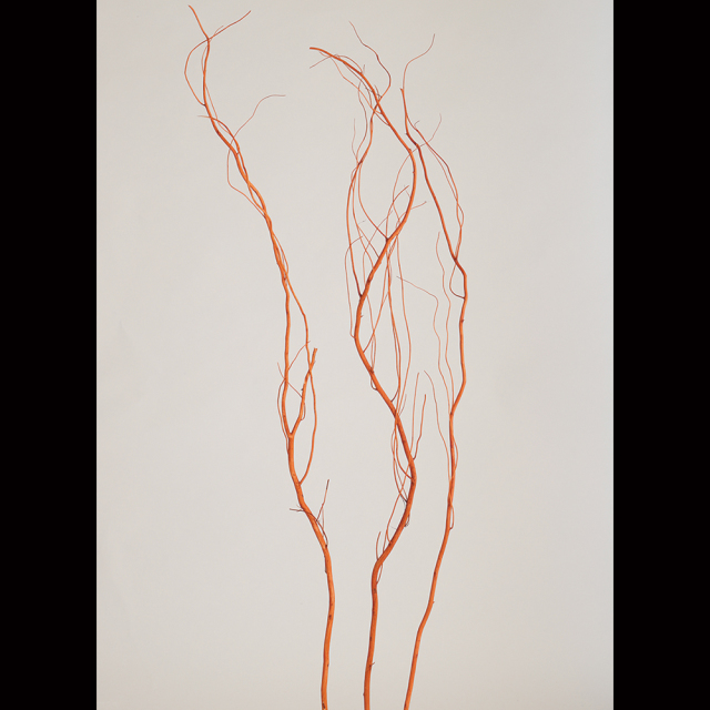 うんりゅう柳　ブリックオレンジ　75722　メーカー廃番60％OFF