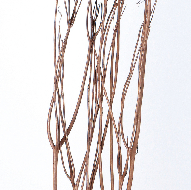 ミツマタ　カフェブラウン