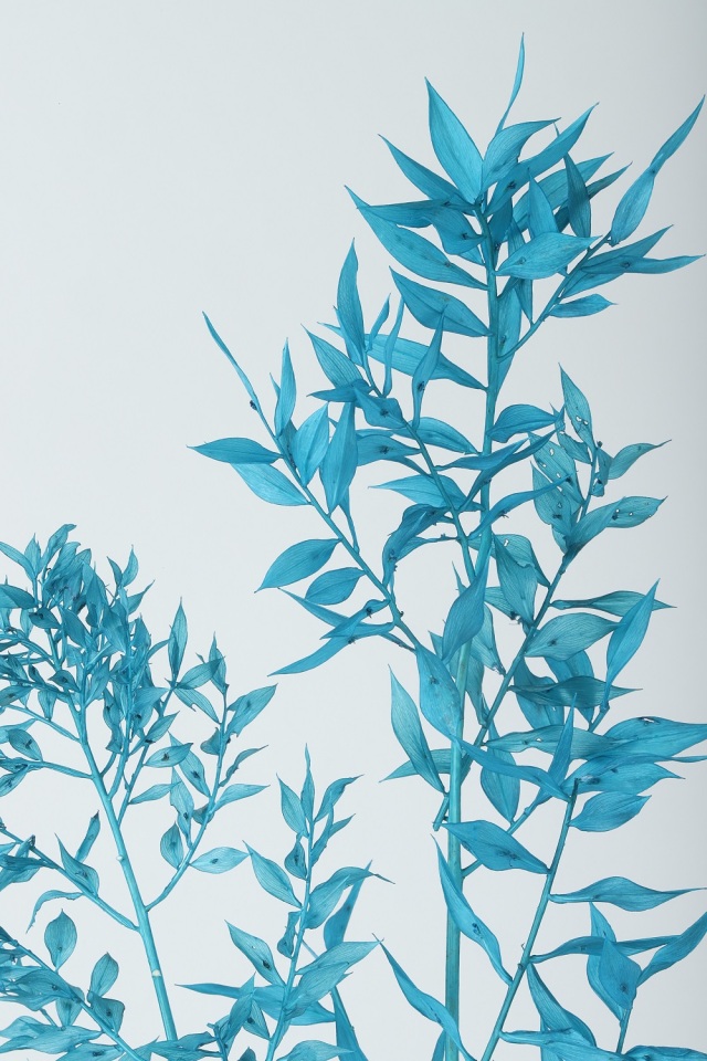 ソフトラスカス　ブルーグレー　75776