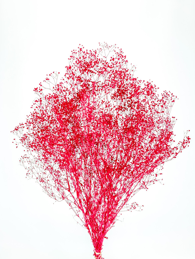 ソフトミニカスミ　レッド　75789