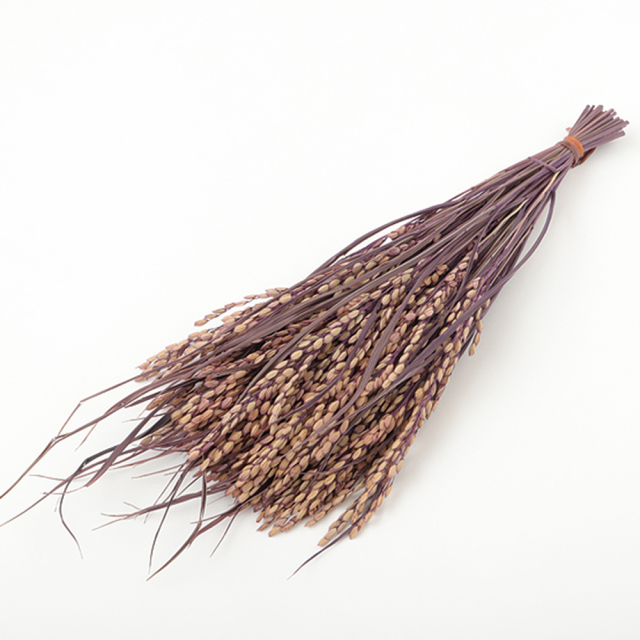 稲穂ピック　ラベンダー