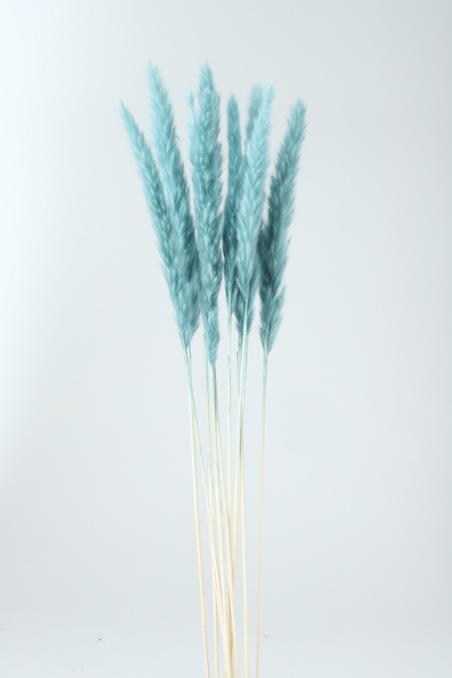 テールリード中　グレイッシュブルー　76179