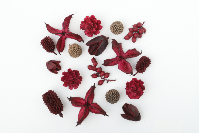 FM木の実６種アソート　ボルドー　80676