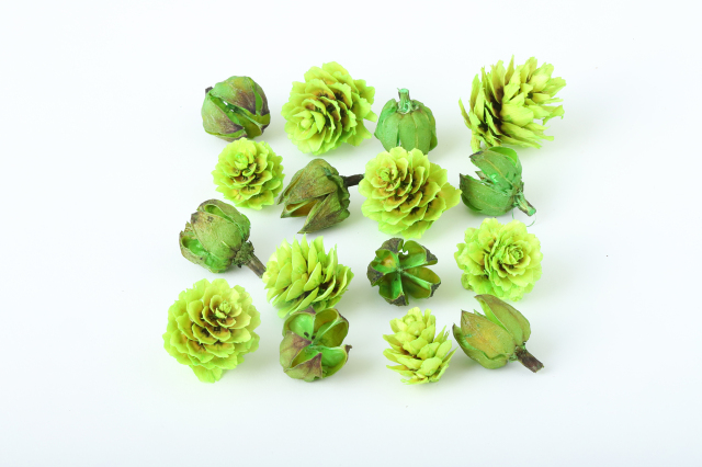 FM木の実２種アソート　グリーン　80703