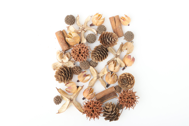 FM木の実６種アソート　ナチュラル　80705