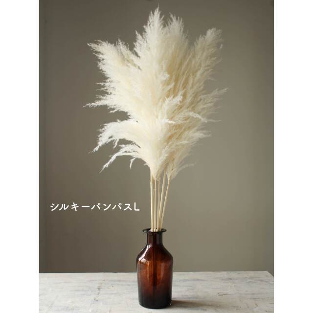 シルキーパンパス　L　オフホワイト　52283-011