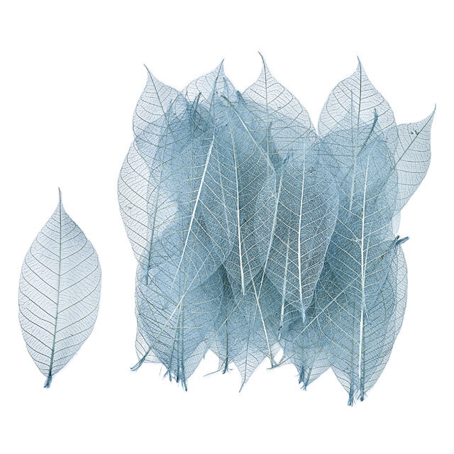 ミニスケルトンリーフ・小・フロストブルー　FD51493-134