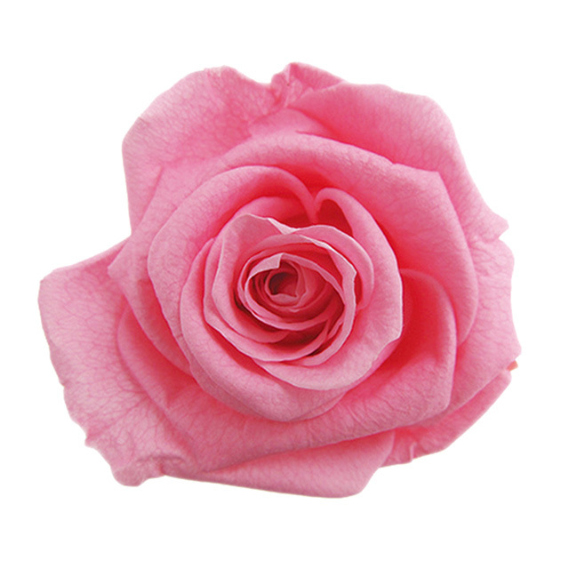 メディアナショートローズ　シュガーピンク　FL034-47