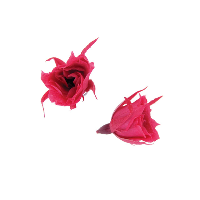 マイクロローズ　ホットピンク　FL060-08