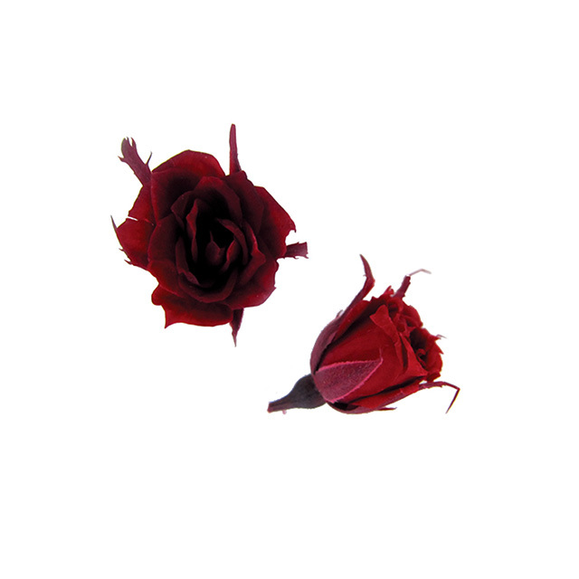 マイクロローズ　ワイン　FL060-10