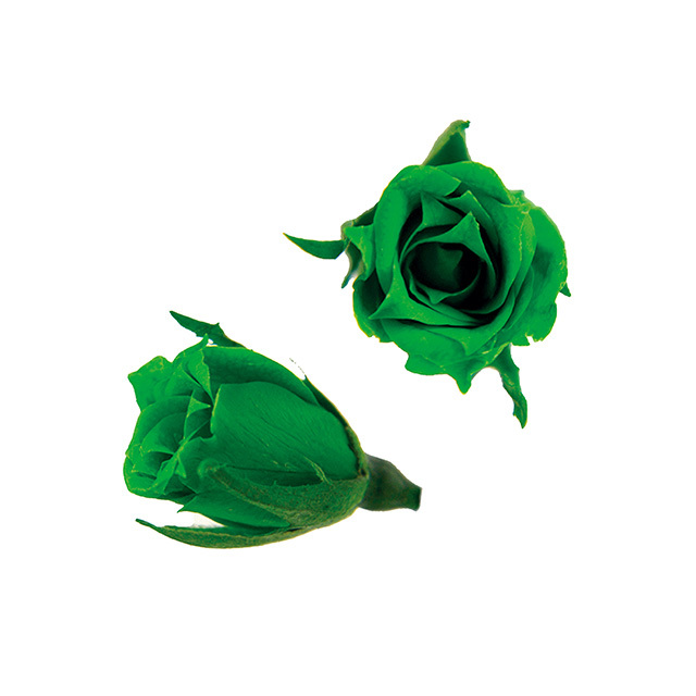 マイクロローズ　グラスグリーン　FL060-88