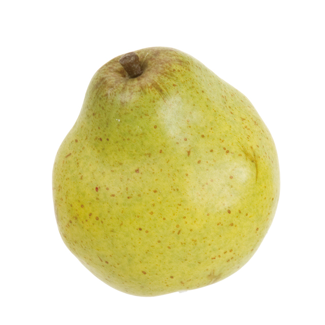 洋なし　FV511