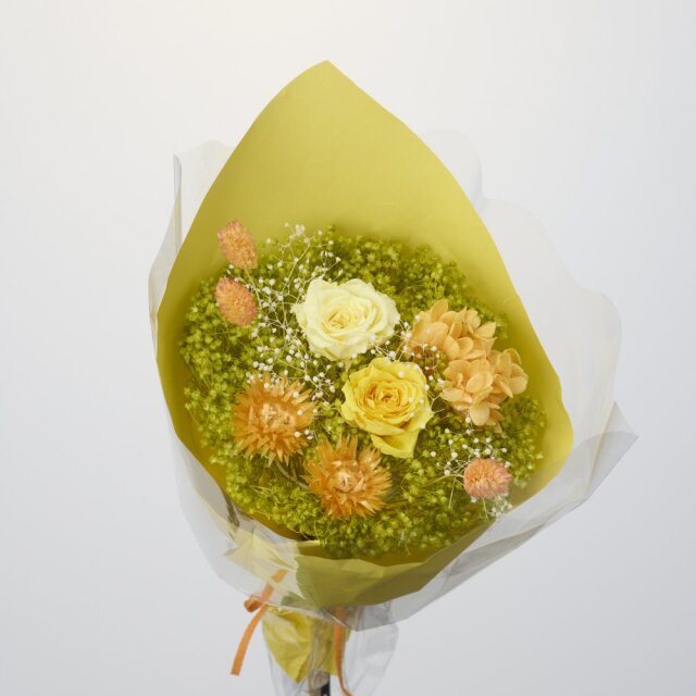 イエロー系 ドライフラワー卸売り販売のミルキーウェイ
