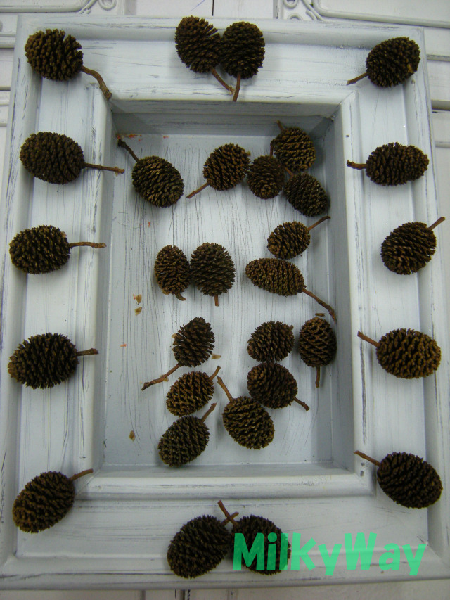 ミルキーウェイオリジナル1351