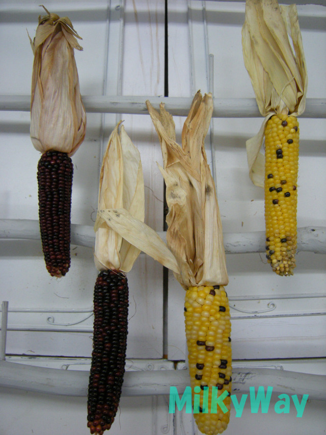 ミルキーウェイオリジナル1356