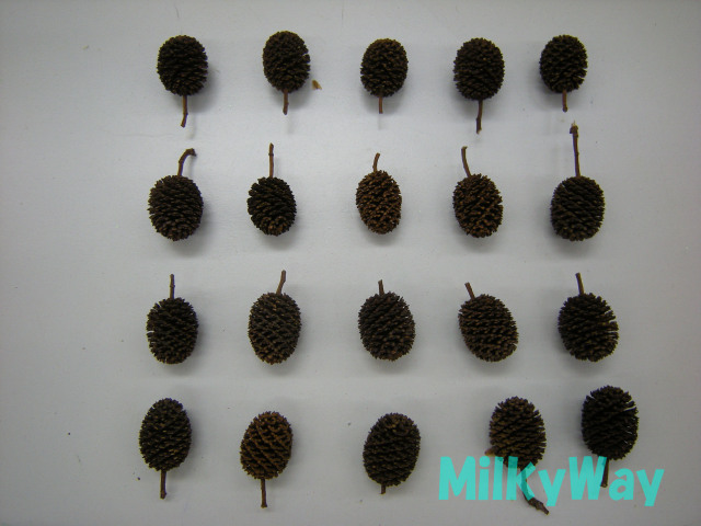 ミルキーウェイオジナル1350