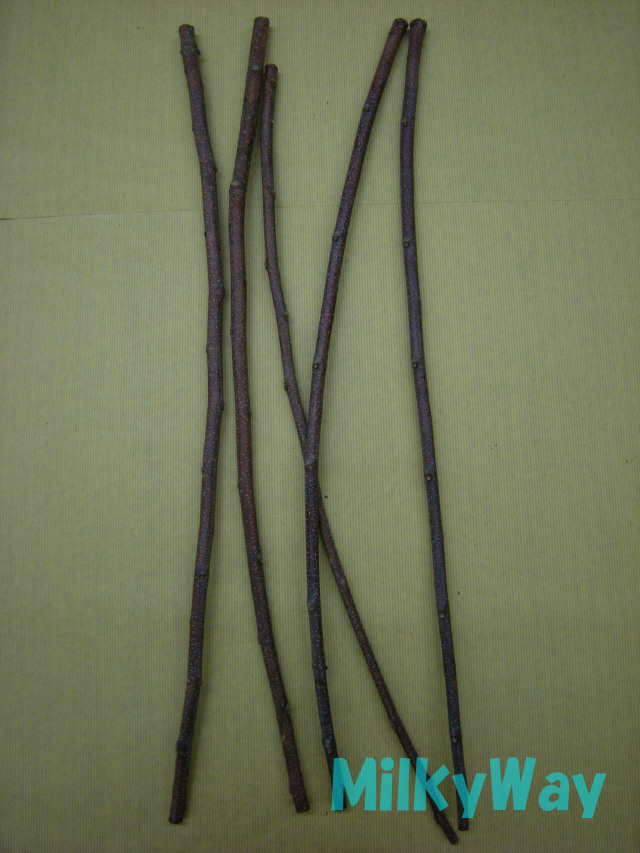 ミルキーウェイオジナル1359