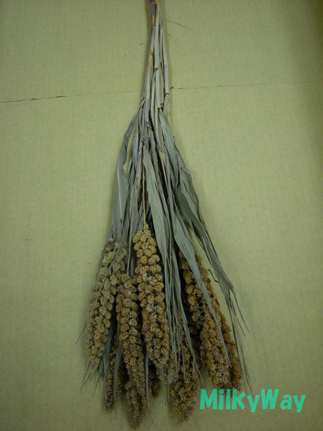 ミルキーウェイオリジナル1374ＭＷ