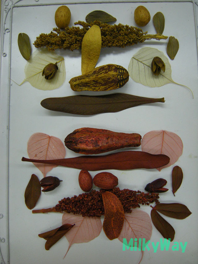 ミルキーウェイオリジナル1371ＭＷ