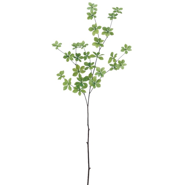 ドウダン　#051A　グリ-ン/アスカ　A-41834-051A