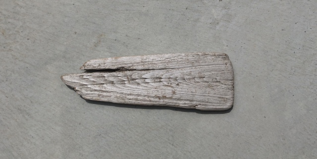 流木　L　板　横34ｃｍ×幅11ｃｍ